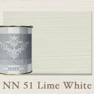 Painting The Past Matt Lime White NN51 Hete Deal